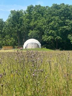 Karkonoski Glamping - Łomnica - 9
