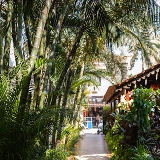 Sea Breeze Inn, Calangute Goa - Calangute - 8