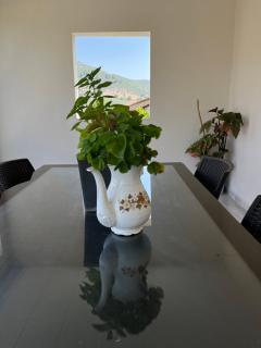 Apart Portakal Çiçeği - Kas - 2