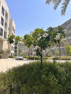The Address Residence Fujairah - Fujaira - 9