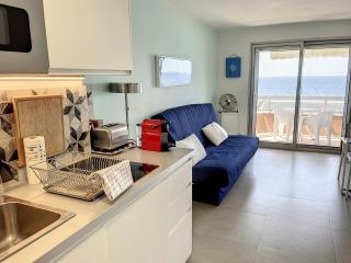 Studio with beautiful sea view and direct beach access - Cannes - 4