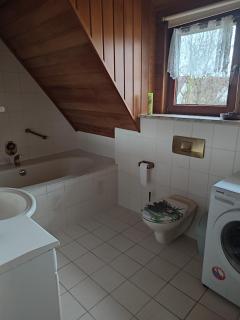 Appartement am Waldesrand - Gifhorn - 6