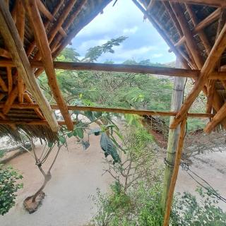 Embe Lodge - 6