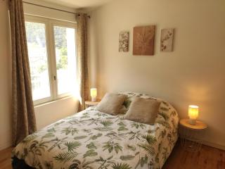 Le Comte Fébus - Focalimmo - Foix - 3