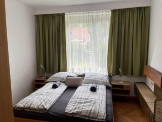 my Relaxs little Villa - Bludenz - 7