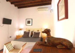 MyStay - Mértola Castelo Palace - Mértola - 3