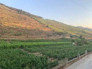 Cottage Douro Vallée - - 3