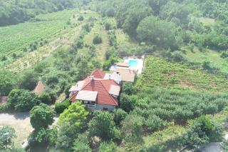 Villa Ana - Ujevići - 6