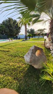 Nettuno 2023 - Marina di Ragusa - 1