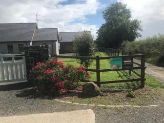 The Shed. - Knockcloghrim - 9