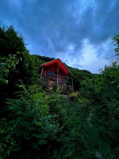 Shale Hause - 6