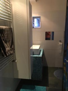 Heerlijke stadswoning aan water - Zaandam - 1