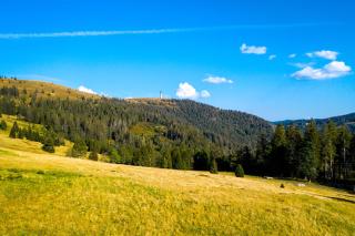 Berggasthof zur Todtnauer Hütte - Feldberg - 2