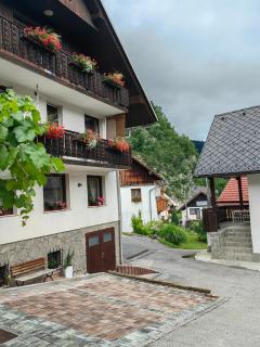 Apartma Bela - Bohinjska Bela - 8
