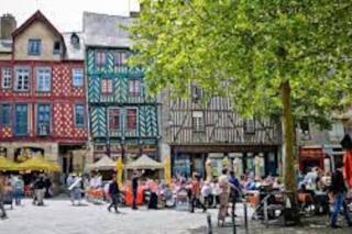 Charmante Maison avec jardin proche Rennes - Saint-Grégoire - 6