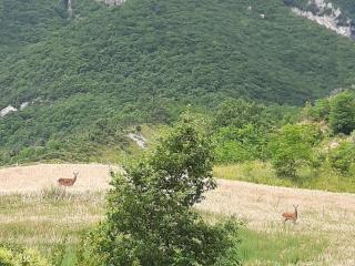 Nel cuore della maiella - Palombaro - 4
