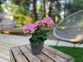 koh tenta a b&b in a luxury glamping style - Mariefred - 6