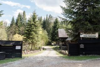 Pensiunea Casa Bunicilor - Mănăstirea Humorului - 9