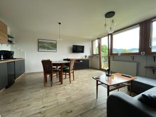 Apartamenty Stronie Śląskie - Stronie Śląskie - 5
