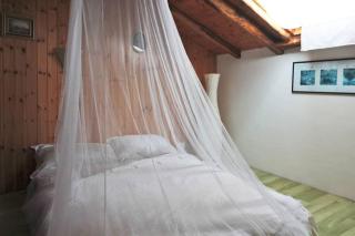 Wine House 1850 - Puntalazzo - 7
