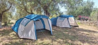 Olive Camping - Himare - 5