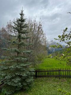 En pleine nature avec jardin - Les Blancs - 8
