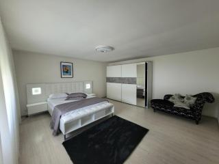 Casa Odessei 9 Oradea fara petreceri de orice forma - Oradea - 9