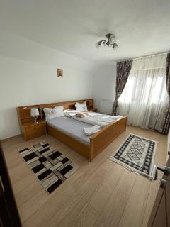 Casa de vacanța Tara - Rau Sadului - 1