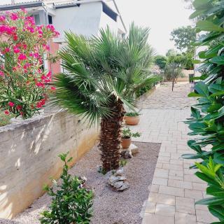 Apartments Lavanda Vodice - Vodice - 9