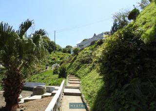 MyStay - Casa Sol Nascente - Ponta Delgada - 8