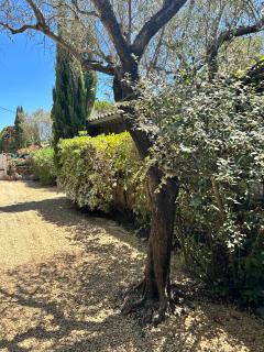Villa de charme en campagne avec piscine privée et nature luxuriante - 1
