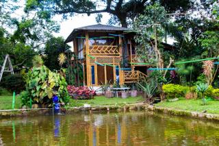 CASA DEL ÁRBOL, Romántico, Piscina, en Chinauta, el mejor clima - 4