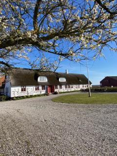 Købmandsgården - 1