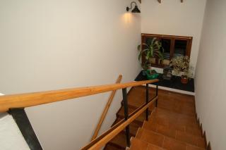 1331 House - San Martín de los Andes - 3