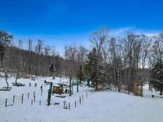 679 Disciples Village Unit - Boyne Falls - 5
