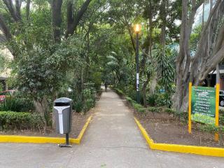 Cozy depa w/amenities Condesa - 8