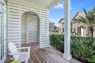 Blue Pelican at Palmilla Beach - 1