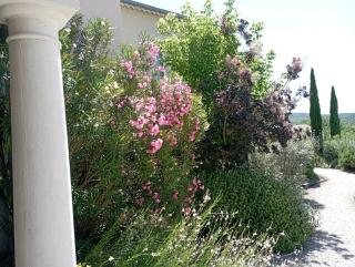 Chambres d'hôtes Le Mas de Molines - Vogüé - 4