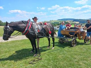 Komfortowe Domki z kominkiem LIMANOWA - NOWY SĄCZ - Limanowa - 6
