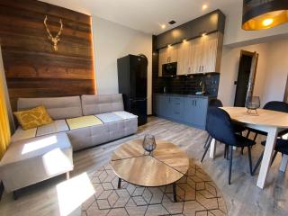 Apartamenty ZakopanePoleca - Krupówki Centrum - Zakopane - 9