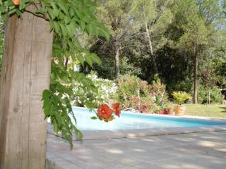 Villa centre var 3 étoiles avec piscine privée - 3