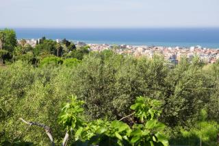 B&B Armonia - Tortoreto Lido - 3