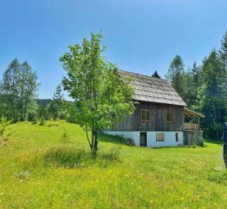 Vukov Konak - Wolf's lodge - Žabljak - 1