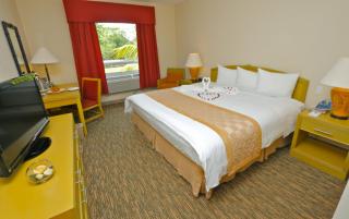 Quality Hotel Real Aeropuerto San Salvador - San Luis - 3