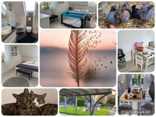 Bed and Breakfast - 2 Schlafzimmer - 6 Personen - Stadtrand - S-Bahn - Parkplatz - Immanuel Helios Klinikum - 0