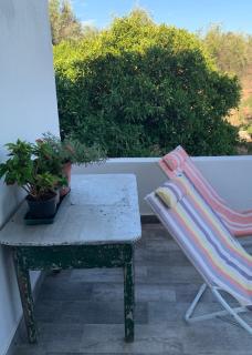 Casa 1-Quinta dos Penedos - Portalegre - 7