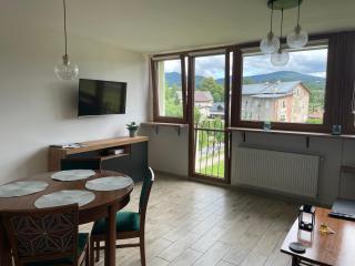Apartamenty Stronie Śląskie - Stronie Śląskie - 6