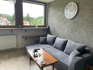 Apartamenty Stronie Śląskie - Stronie Śląskie - 7