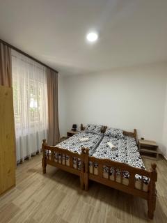 Apartments Božinović - Soko Banja - 2