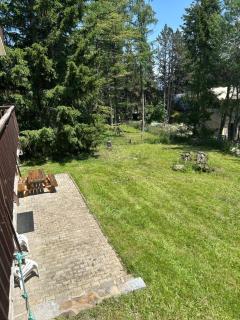 Le cerf majestueux, Bolquere - 1